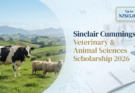 Sinclair Cummings Veterinary and Animal Sciences Scholarship 2026